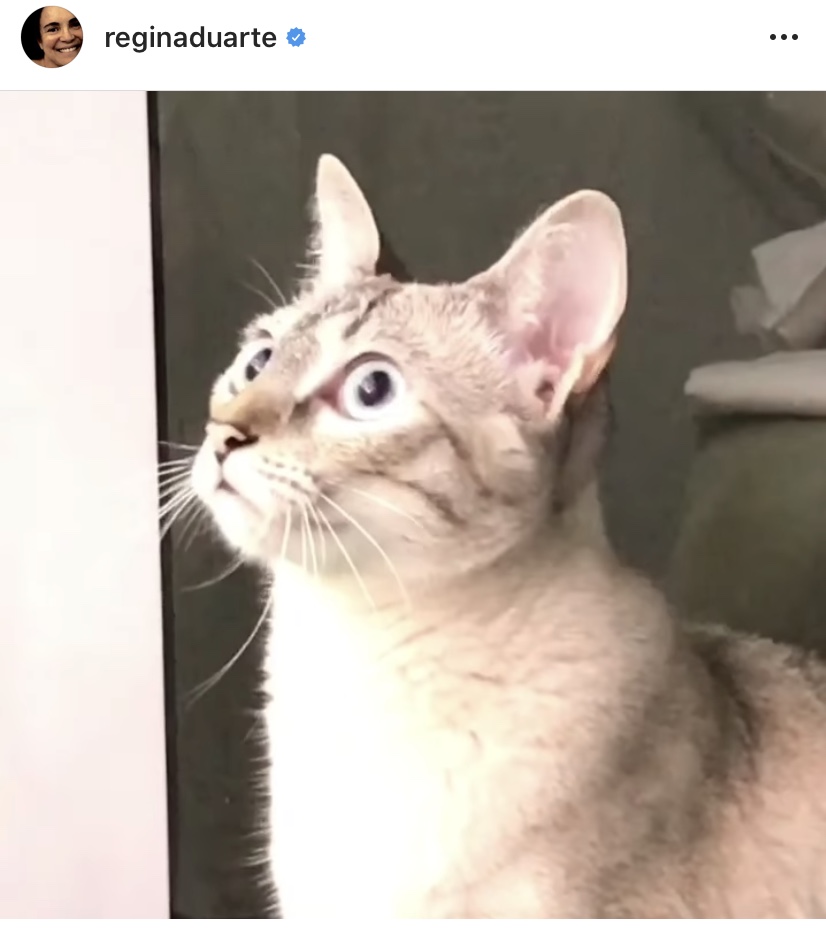 Regina Duarte: secretária de Cultura ignora morte de Moraes Moreira