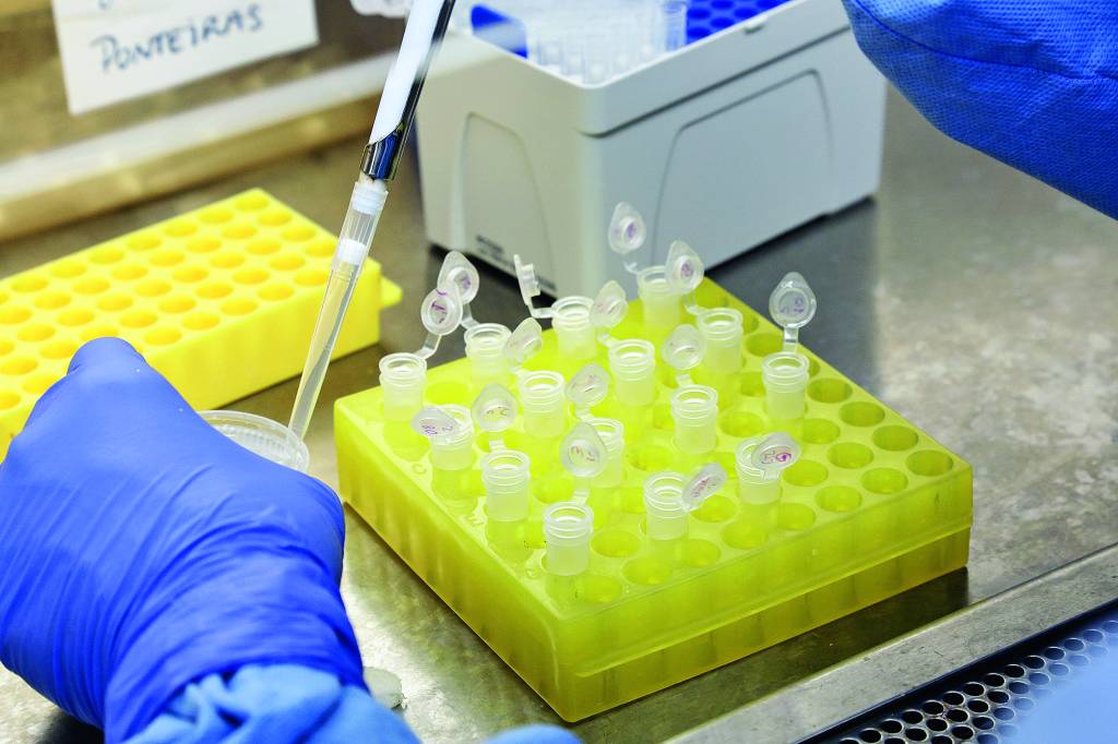 Covid-19: Prefeitura do Rio lança agendamento para teste via aplicativo