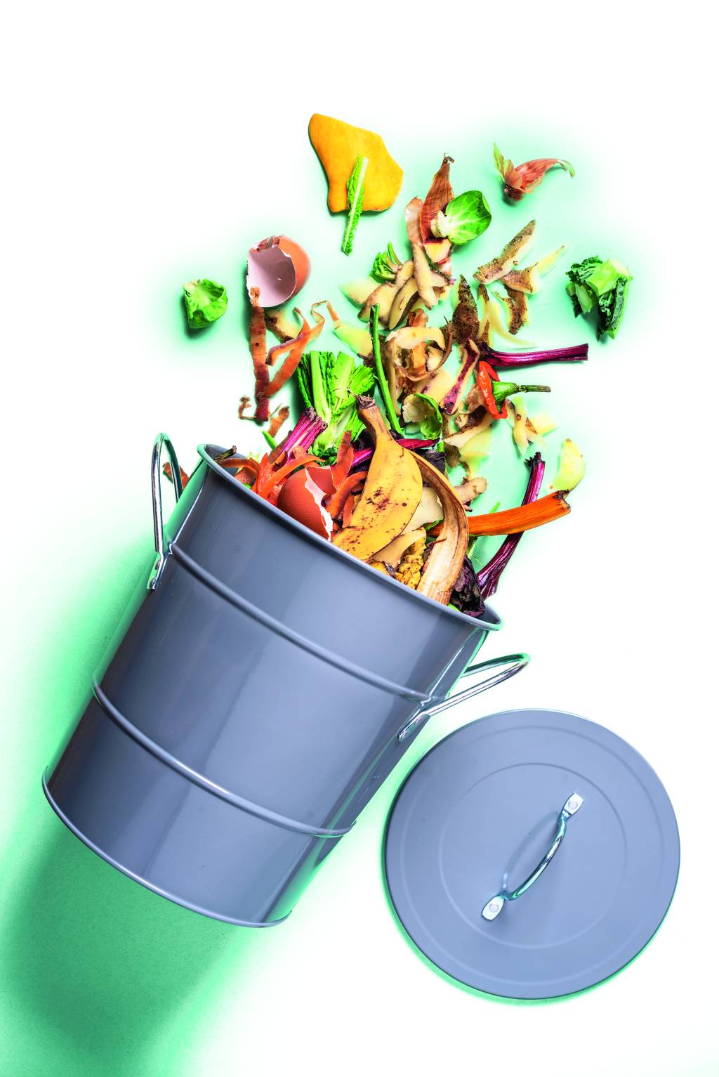 Por que este é o momento certo para aderir à compostagem doméstica