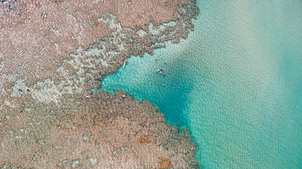 Rota Ecológica de Alagoas: um destino de mar azul e natureza intocada