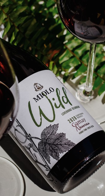 gamay_wild_2