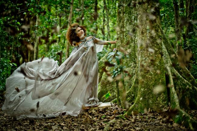 Mariene de Castro alta – floresta Mariene de Castro alta – floresta