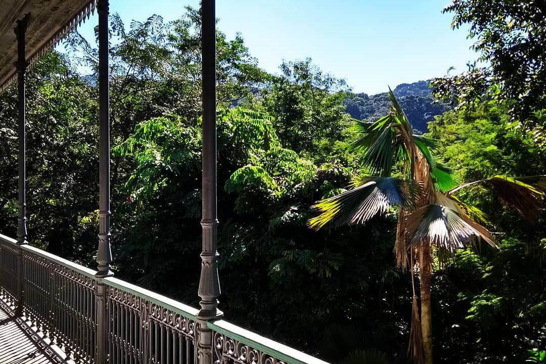 Foto de varanda aberta para jardins com árvores altas e verdes