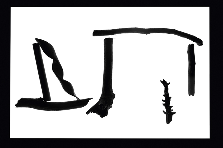 Paço Imperial abre mostra com fotografias de Vicente de Mello