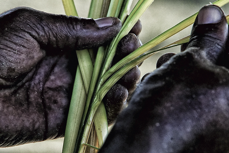 Casa França-Brasil recebe o público com expoentes da arte contemporânea