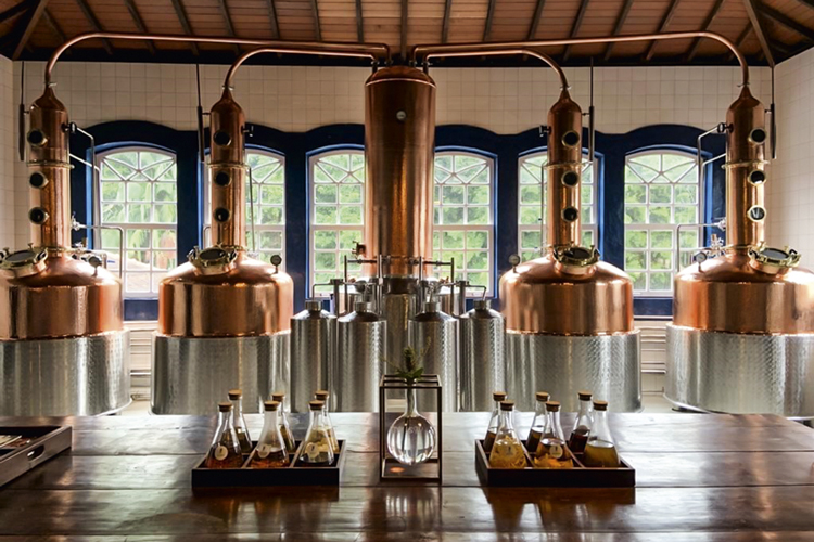 Gim? É coisa nossa! Bebida de fabricação carioca coleciona prêmios