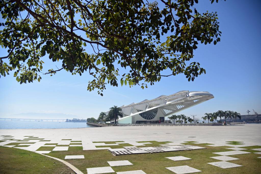 Museu do Amanhã Fachada do Museu do Amanhã com uma árvore em primeiro plano