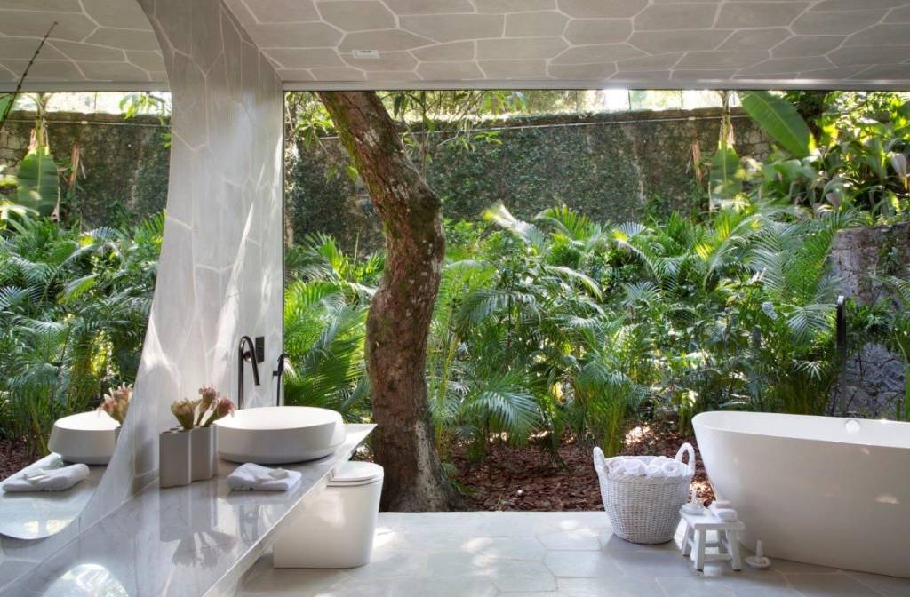 6 ideias da CASACOR Rio para cultivar plantas dentro de casa