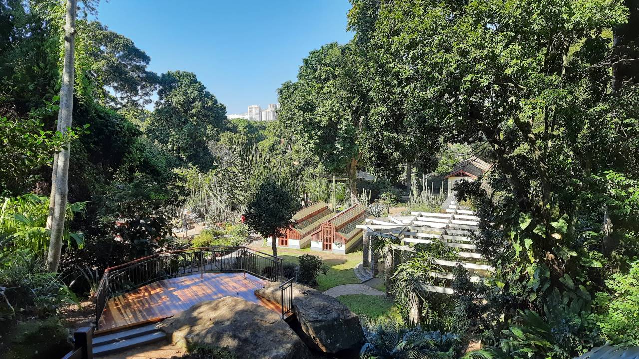 Mirante do cactário mostra uma extensa área verde no Jardim Botânico