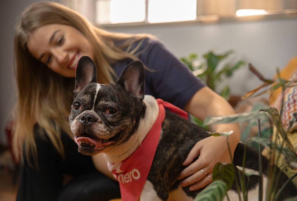 Mordomia para pets: serviço de veterinário em domicílio chega ao Rio