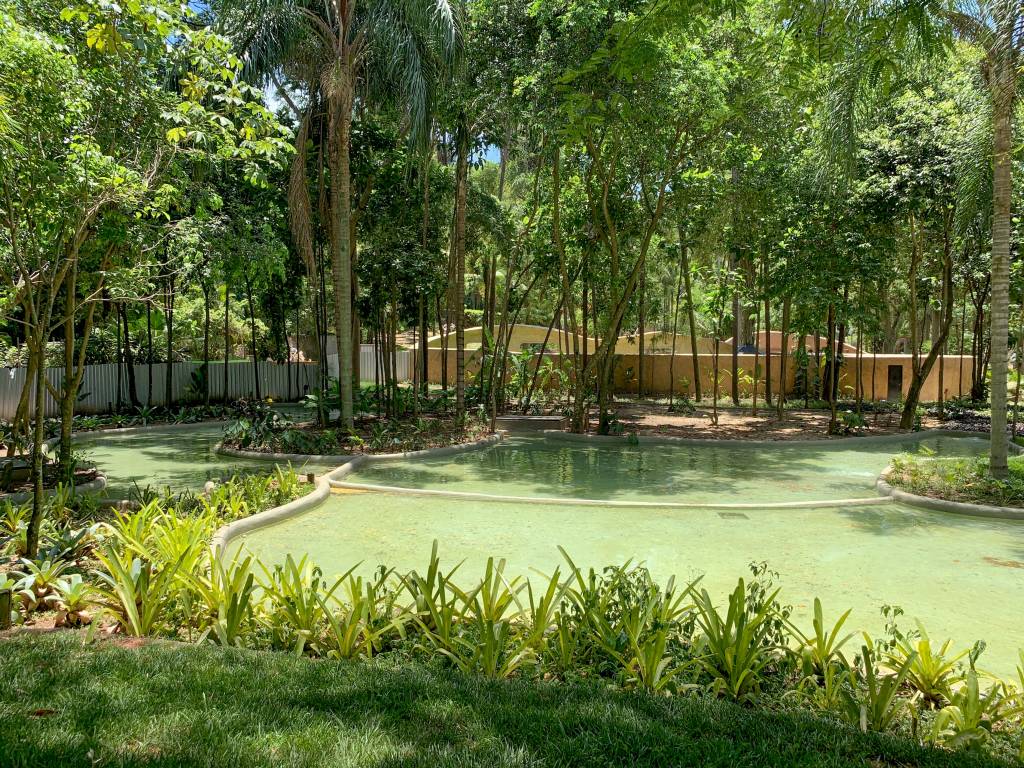 Muito além dos jardins: exposição no BioParque celebra Burle Marx