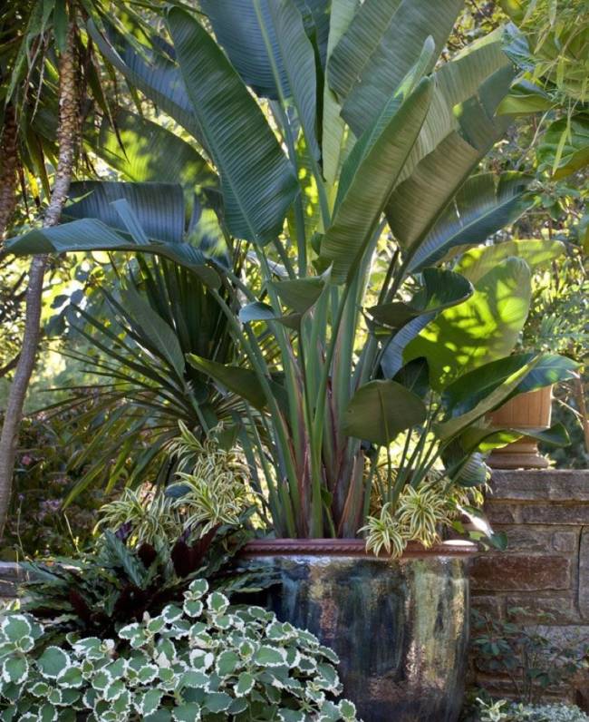 A imagem mostra um jardim com plantas e um vaso na cor verde