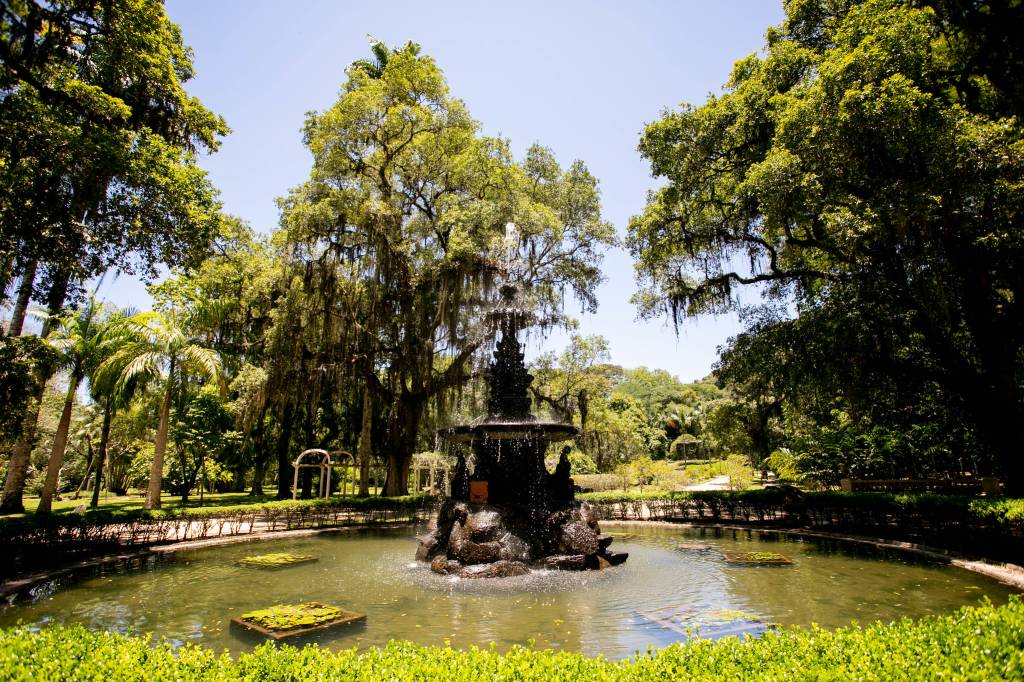 Jardim Botânico promove exposição, cinema e trilhas na Semana da Amazônia