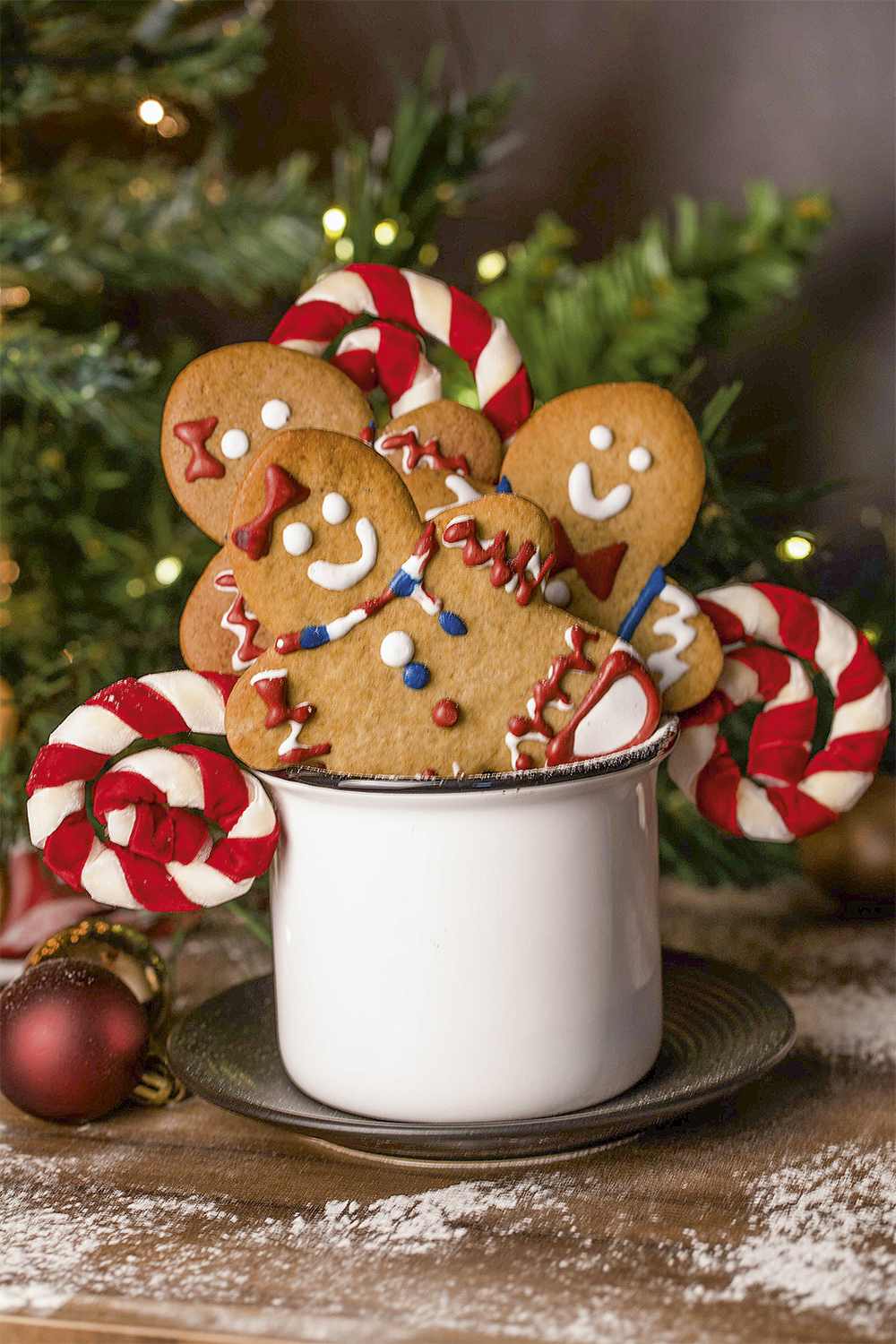 American-Cookies—Gingerbreads—Foto_-Samir-Félix.jpg2 American Cookies