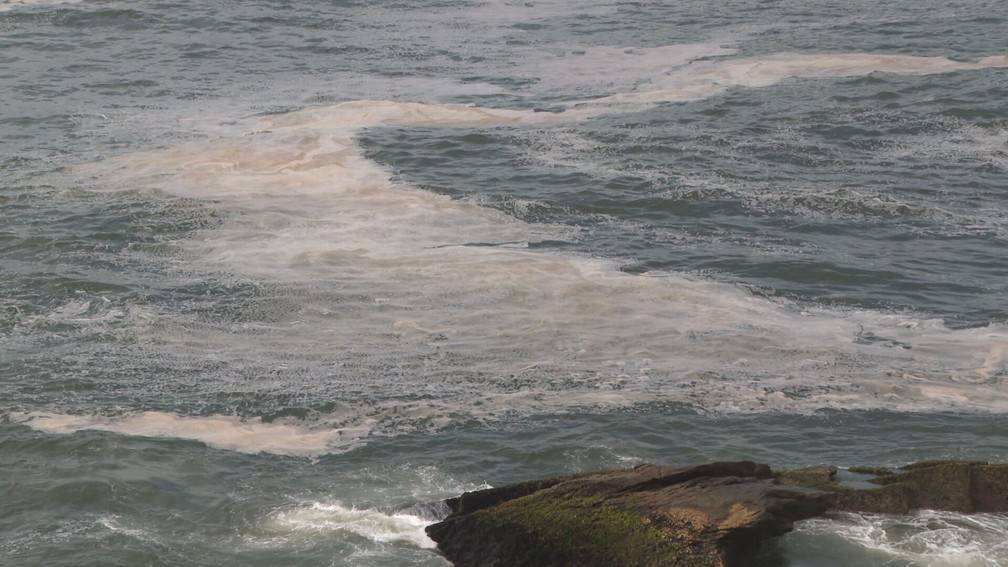 Multiplicação de algas muda a cor do mar nas praias do Rio: está poluído ou não?