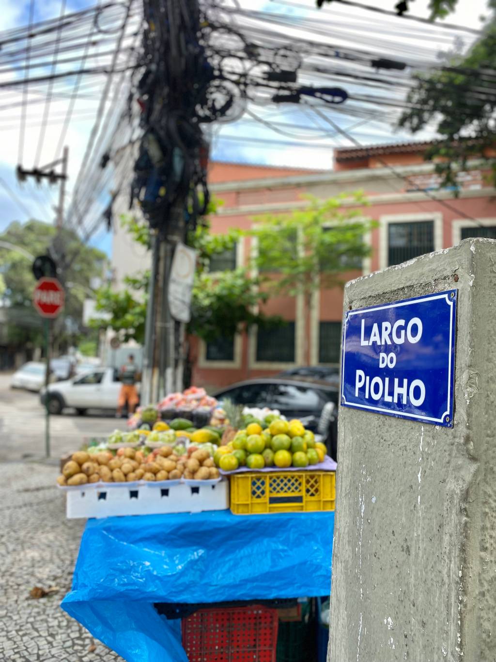 Um vinho na Zona Norte