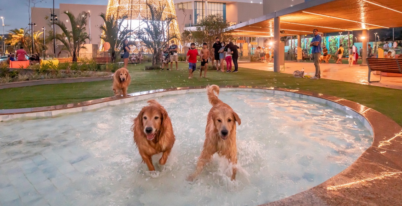 ParCão_Foto Divulgação