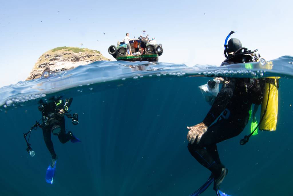 Despoluição da Baía de Guanabara vai render um bilhão de dólares por ano