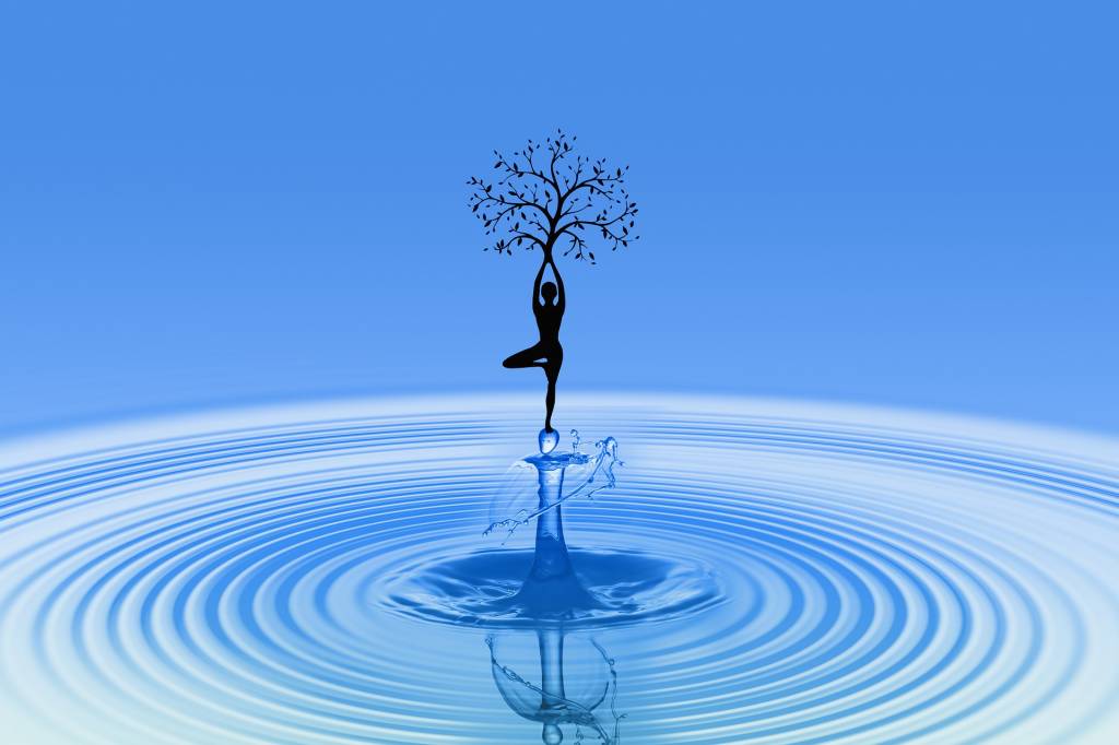 Lua Nova, razão e emoção – eis a questão