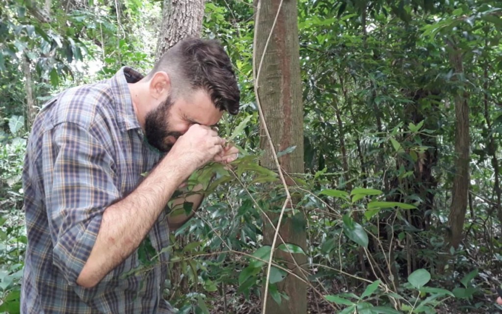 Levantamento mostra espécies de fauna e flora ameaçadas de extinção no Rio