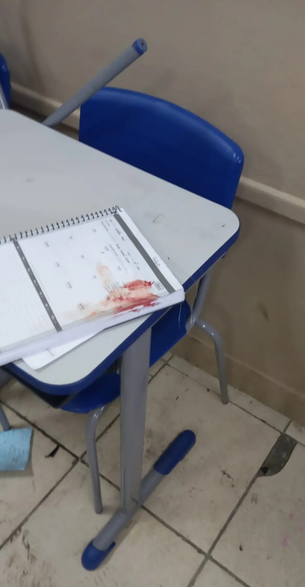 Prejuízo ao futuro do país: agressão a escolas é celebração da ignorância