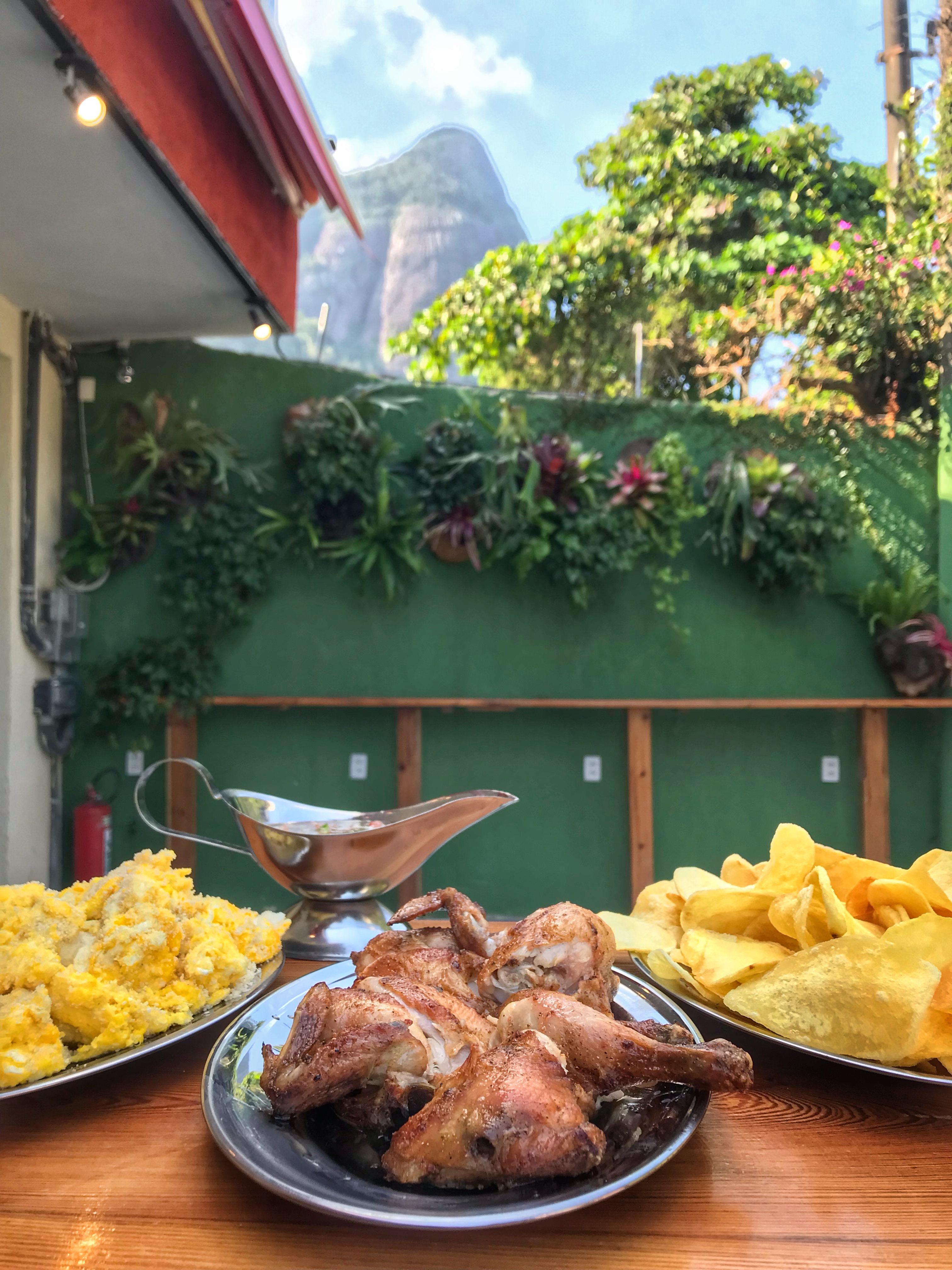 Sat's: tons de verde e a Pedra da G&aacute;vea ao fundo na Barrinha