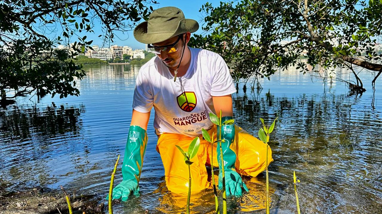 Prefeitura do Rio lança programa Guardiões dos Mangues, no Dia Mundial do Meio Ambiente