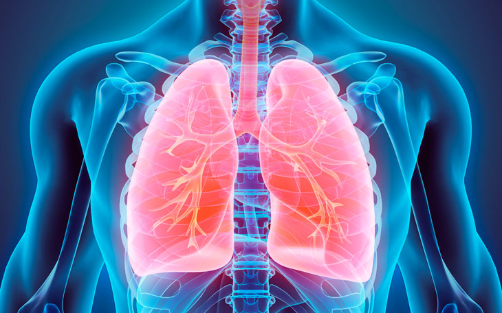 Desenho reproduz os pulm&otilde;es.