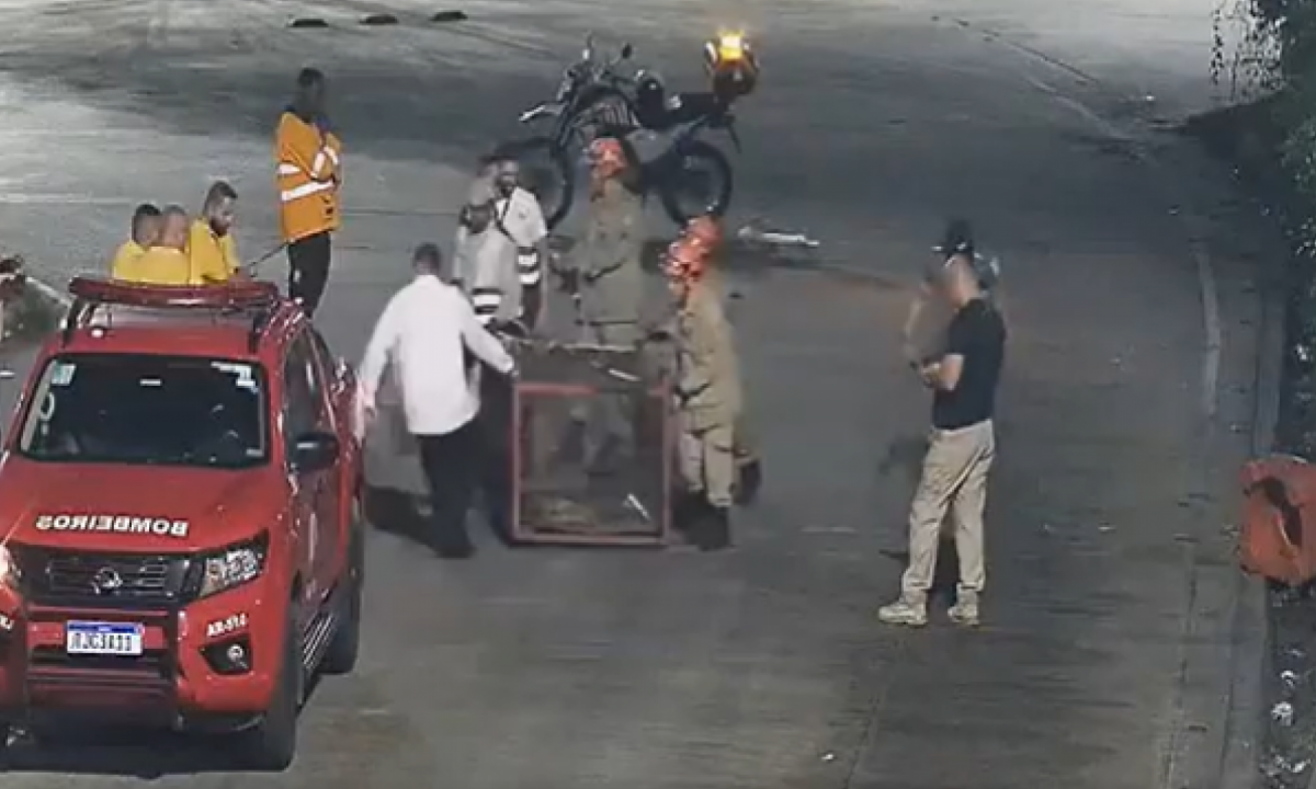 Foto mostra bombeiros tirando jacaré de terminal