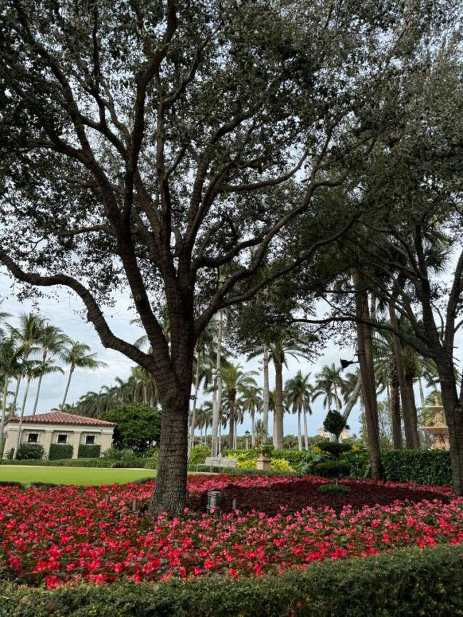 the breakers palm beach