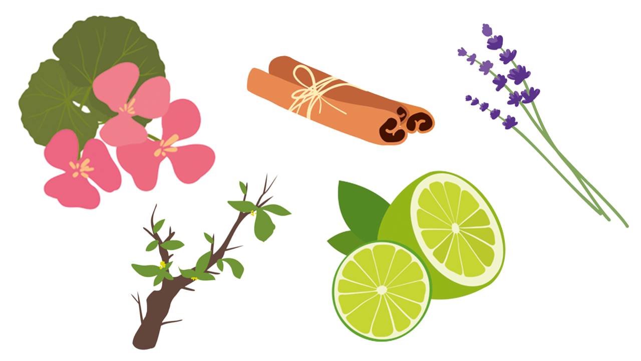 Home Decor Aromatizadores