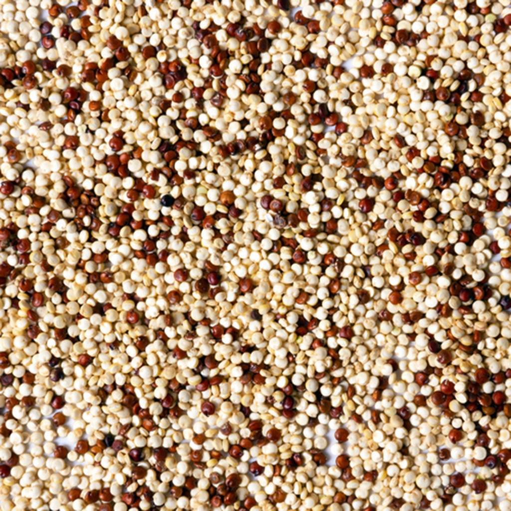 GettyImages-1308411671.jpg Alimentos integrais