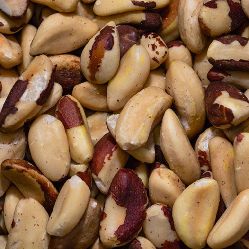 GettyImages-623741718.jpg Castanha-do-pará