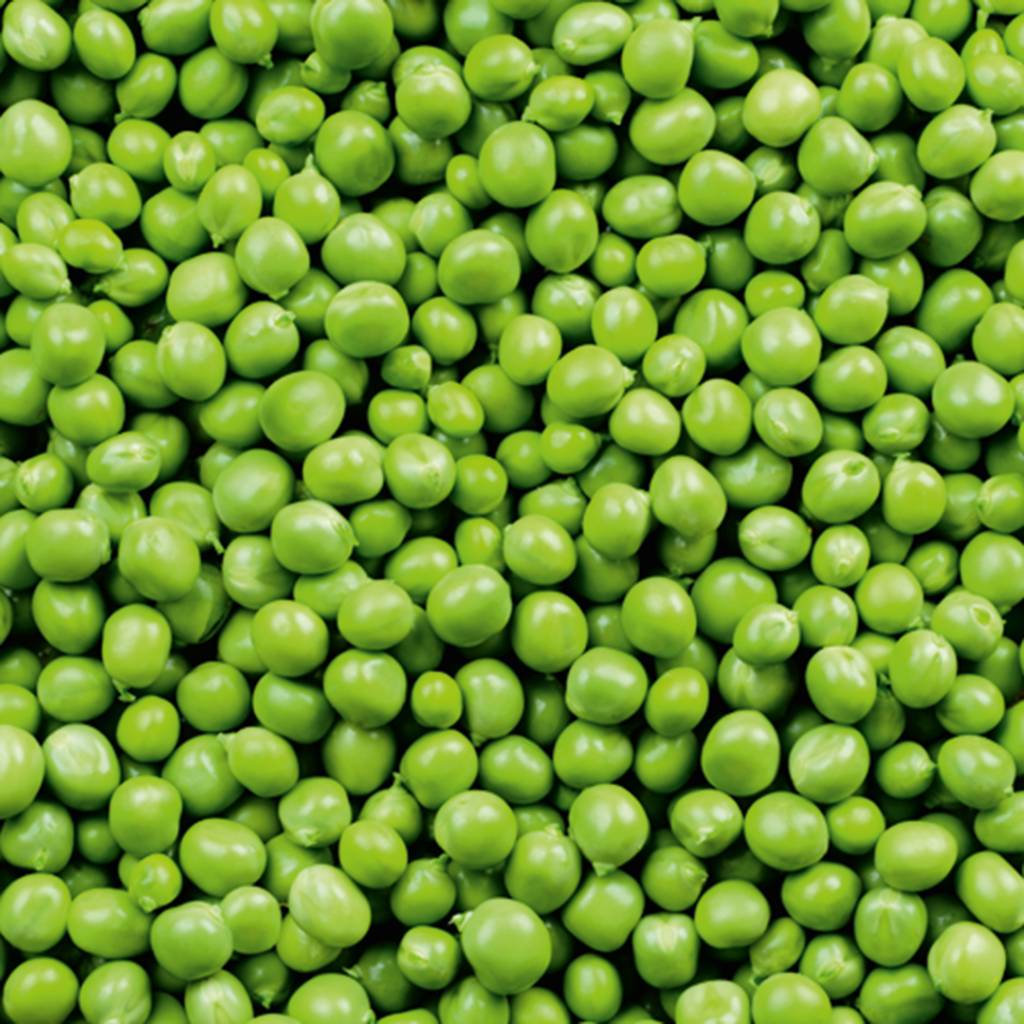 GettyImages-881582988.jpg Leguminosas