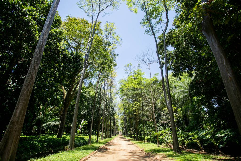Preço do ingresso para o Jardim Botânico do Rio mais que duplica
