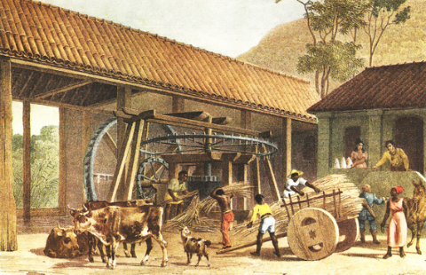 engenho A imagem é uma gravura de Rugendas, do século XIX, que mostra uma moenda d’água sendo usada em um engenho de açúcar. Há animais na cena, como bois e cabras. Todo o trabalho está sendo feito por pessoas negras escravizadas.