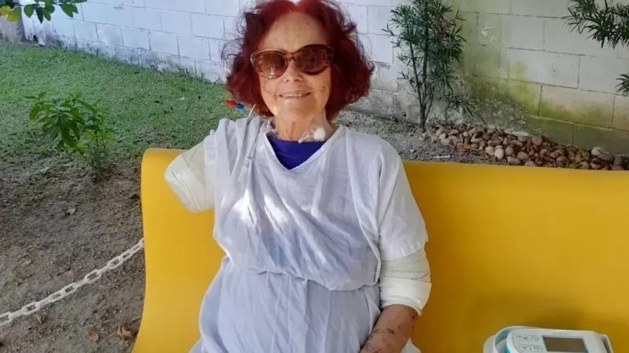 Dono de cães que atacaram Roseana Murray é detido ao ser pego em blitz