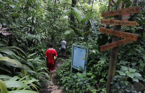 trilha-quilombo-pedra-branca A imagem mostra pessoas caminhando numa trilha em meio à mata. Há placas com setas indicando as atrações naturais do local.