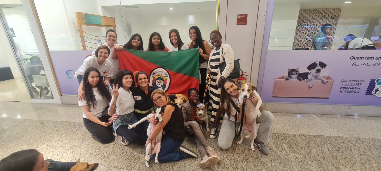 adote-um-pet-gauchinho