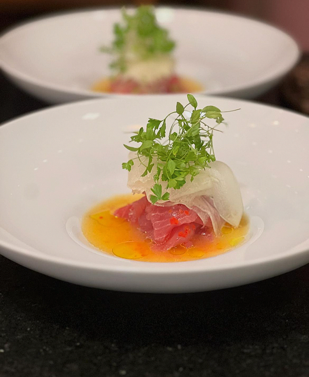 Sud, O P&aacute;ssaro Verde