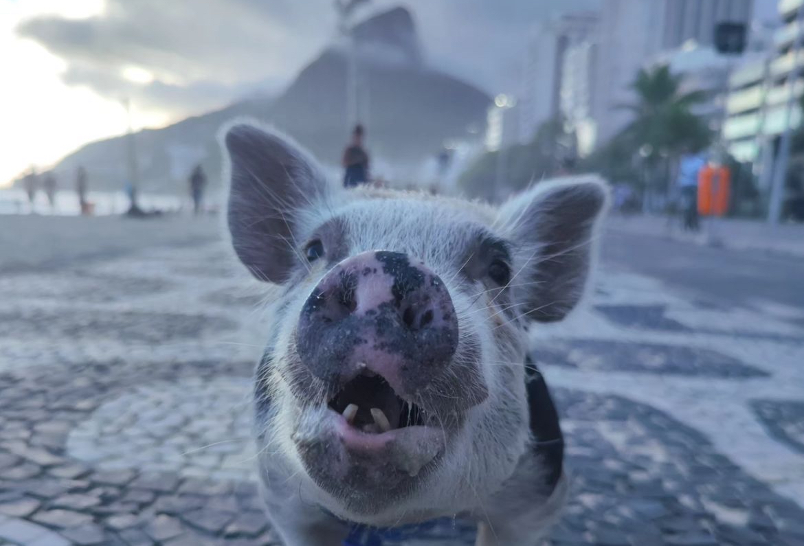 image1 &ndash; 2024-10-09T115422.363