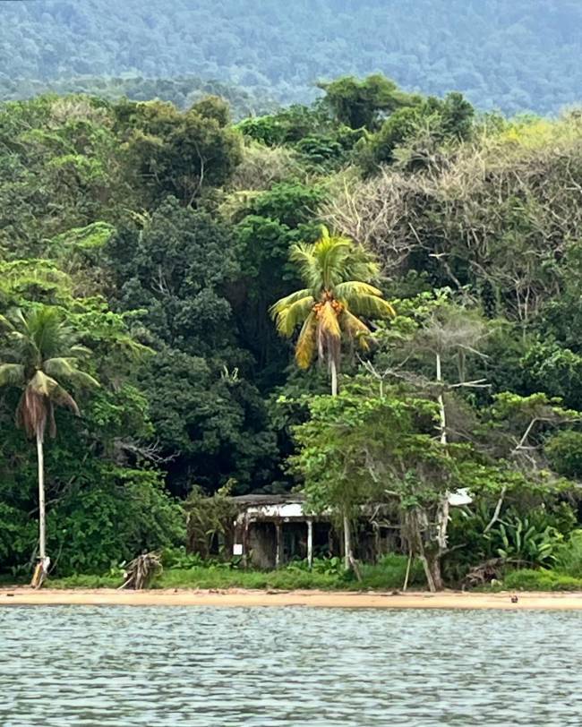 Casa que foi da pintora Djanira, em Paraty, sofre com o abandono