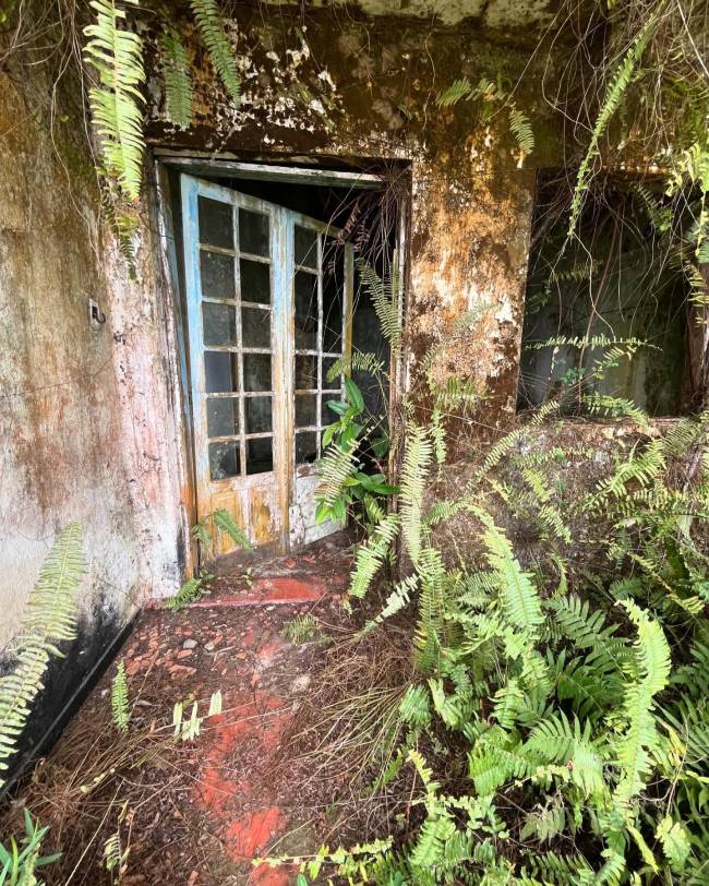 Casa que foi da pintora Djanira, em Paraty, sofre com o abandono