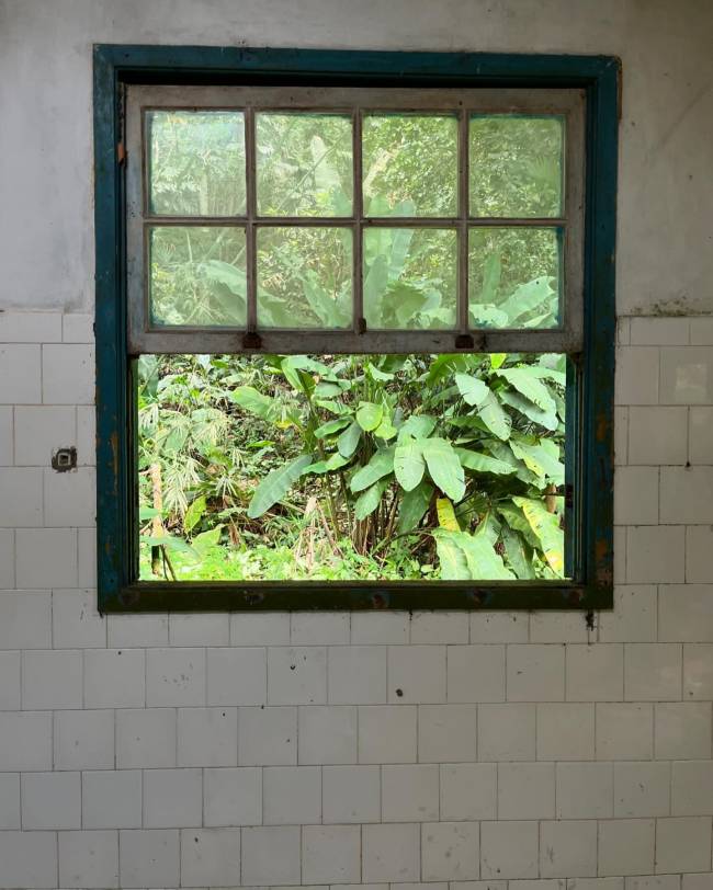 Casa que foi da pintora Djanira, em Paraty, sofre com o abandono