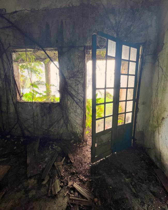 Casa que foi da pintora Djanira, em Paraty, sofre com o abandono