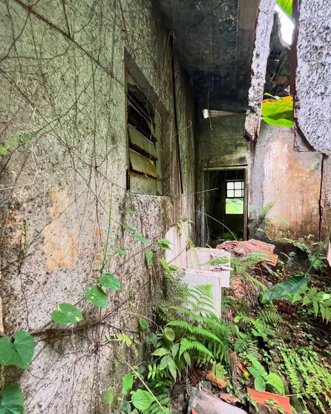 Casa que foi da pintora Djanira, em Paraty, sofre com o abandono