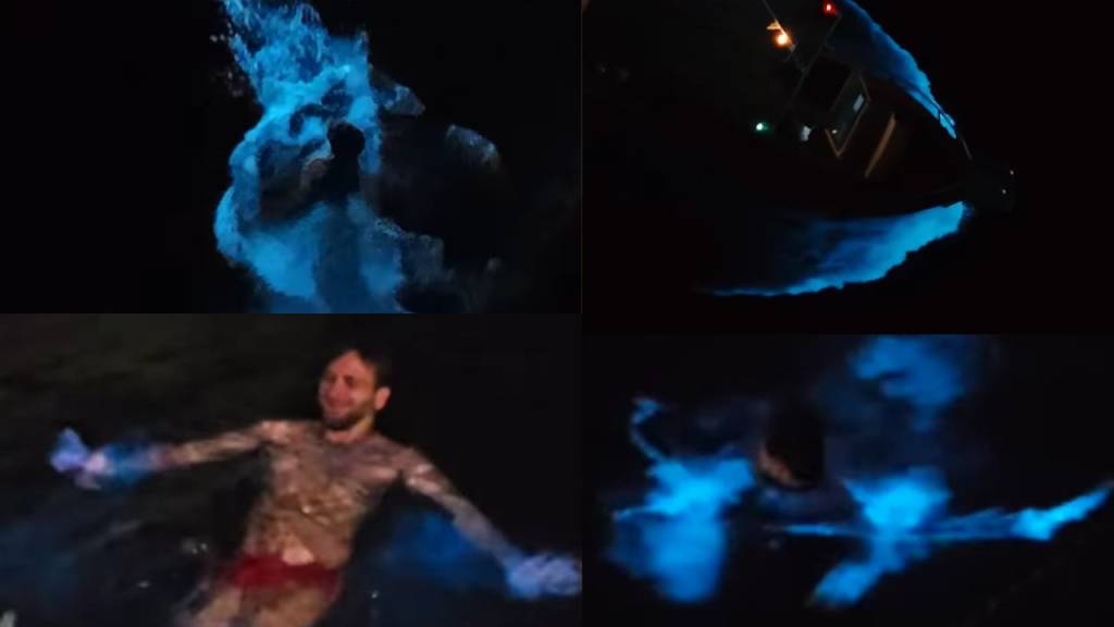 Bioluminescência em Arraial: o que é o fenômeno que deixa o mar brilhante