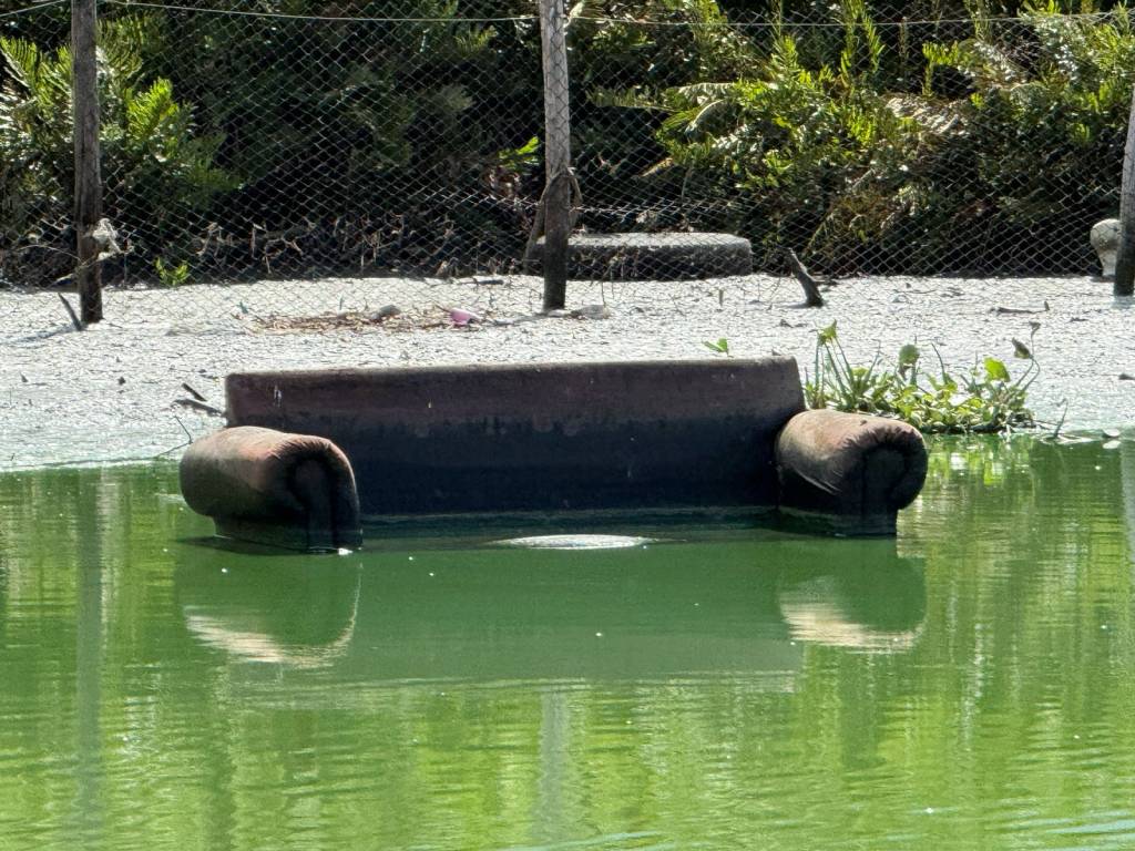 Em 1h30, biólogo conta 57 sofás jogados nas lagoas da ZO