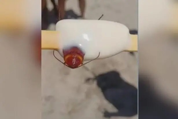 fabrica-doce-verao-picole-barata