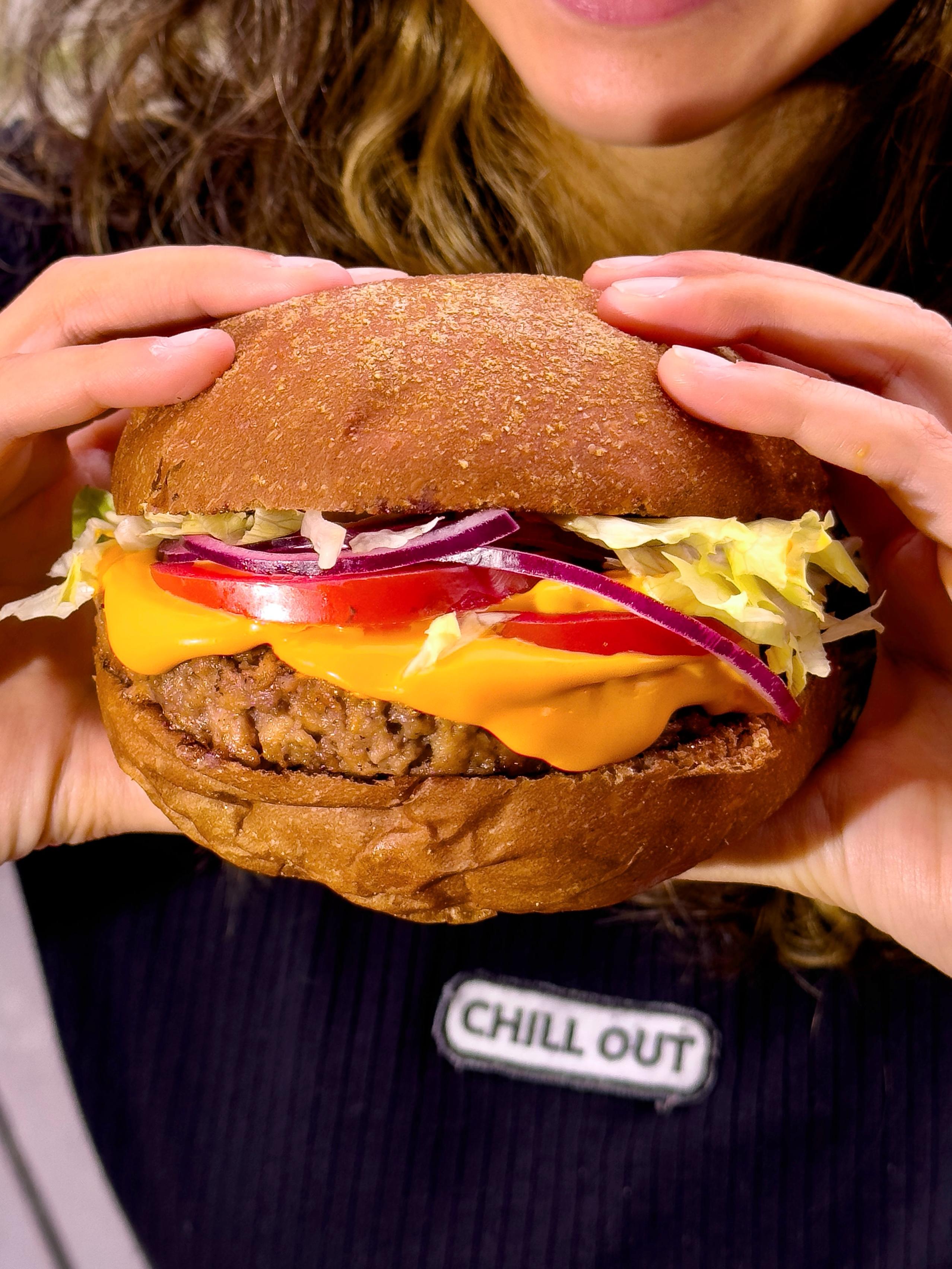 ref&uacute;gio-veg-hamburguer-vegano